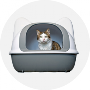 cat-litter-boxes