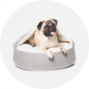 dog-beds